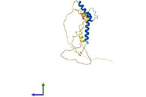 Protein Structure (PS) image for Transcription Factor 23 (TCF23) (AA 1-209) protein (His tag) (ABIN7561682)