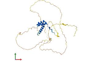 Protein Structure (PS) image for Distal-Less Homeobox Protein 2 (DLX2) (AA 1-328) protein (His tag) (ABIN7547093)