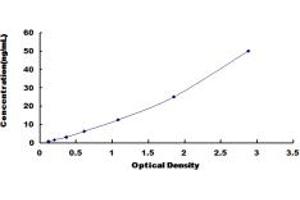 Typical standard curve (ART1 ELISA 试剂盒)