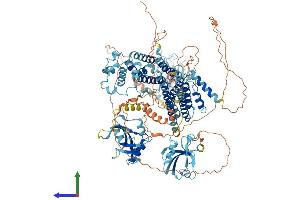 Protein Structure (PS) image for Ras Association and DIL Domains (Radil) (AA 1-1099) protein (His tag) (ABIN7564015)