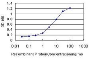 Detection limit for recombinant GST tagged MSR1 is approximately 0. (Macrophage Scavenger Receptor 1 抗体  (AA 121-220))