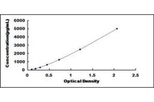 Typical standard curve (FLII ELISA 试剂盒)