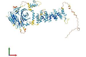 AlphaFold protein structure predicition of Mouse Recombinant Hps6 Protein, UniprotID Q8BLY7