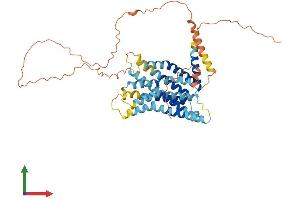 AlphaFold protein structure predicition of Human Recombinant GPR142 Protein, UniprotID Q7Z601