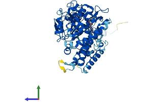 Protein Structure (PS) image for Cytochrome P450, Family 3, Subfamily A, Polypeptide 4 (CYP3A4) (AA 1-503) protein (His tag) (ABIN7546828)