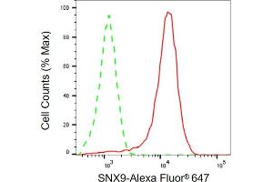 Flow cytometric analysis of SNX9 expression in HeLa cells using SNX9 antibody (ABIN7800412), 1:2,000).