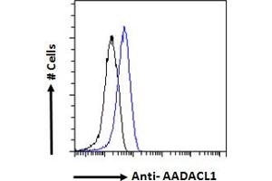 ABIN238671 Flow cytometric analysis of paraformaldehyde fixed A431 cells (blue line), permeabilized with 0. (NCEH1 抗体  (C-Term))