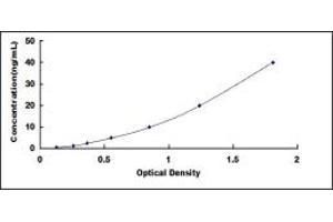 Typical standard curve (Flotillin 2 ELISA 试剂盒)