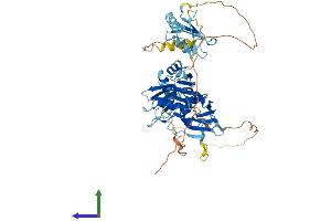 Protein Structure (PS) image for Polypyrimidine Tract Binding Protein 2 (PTBP2) (AA 1-531) protein (His tag) (ABIN7560127)