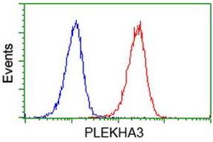 Flow cytometric Analysis of Jurkat cells, using anti-PLEKHA3 antibody (ABIN2454556), (Red), compared to a nonspecific negative control antibody, (Blue). (PLEKHA3 抗体)
