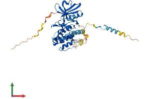 Protein Structure (PS) image for Mitogen-Activated Protein Kinase-Activated Protein Kinase 3 (MAPKAPK3) (AA 1-382) protein (His tag) (ABIN7554501)