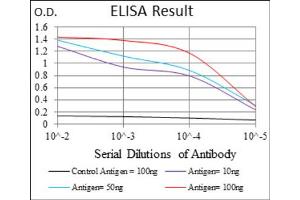 Immunohistochemistry (IHC) image for anti-Zinc Finger Protein 42 (ZFP42) (AA 249-310) antibody (ABIN1846770)