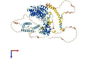 EXOSC10 Protein (AA 1-887) (His tag)