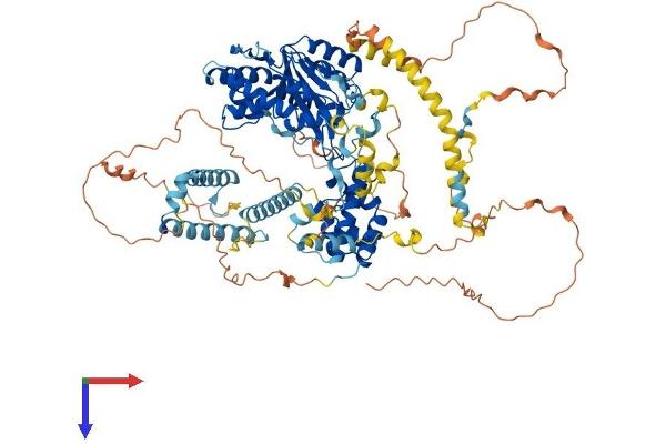 EXOSC10 Protein (AA 1-887) (His tag)