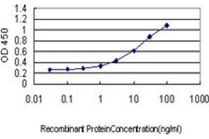 Detection limit for recombinant GST tagged HBB is approximately 0. (Hemoglobin Subunit beta 抗体  (AA 38-147))