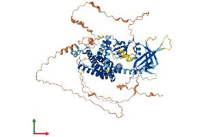 Protein Structure (PS) image for rho Guanine Nucleotide Exchange Factor (GEF) 19 (ARHGEF19) (AA 1-802) protein (His tag) (ABIN7552319)