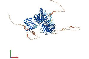 Protein Structure (PS) image for GTP Binding Protein 1 (GTPBP1) (AA 1-669) protein (His tag) (ABIN7548137)