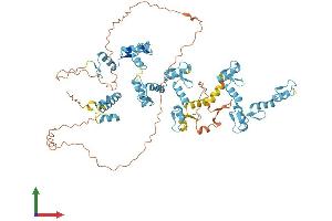 Protein Structure (PS) image for Zinc Finger Protein 334 (ZNF334) (AA 1-680) protein (His tag) (ABIN7545654)