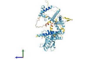 Protein Structure (PS) image for General Transcription Factor IIH, Polypeptide 1, 62kDa (GTF2H1) (AA 1-548) protein (His tag) (ABIN7544399)