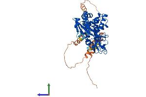Protein Structure (PS) image for Smith-Magenis Syndrome Chromosome Region, Candidate 7-Like (SMCR7L) (AA 1-463) protein (His tag) (ABIN7554578)