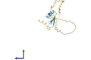 Protein Structure (PS) image for Ripply1 Homolog (RIPPLY1) (AA 1-151) protein (His tag) (ABIN7551400)