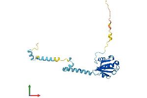 Protein Structure (PS) image for Phosducin-Like 3 (PDCL3) (AA 1-240) protein (His tag) (ABIN7558921)