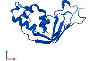 Protein Structure (PS) image for tRNA Methyltransferase 11-2 (TRMT112) (AA 1-125) protein (His tag) (ABIN7561334)