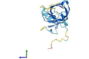 Protein Structure (PS) image for Endogenous Retrovirus Group K, Member 10 (ERVK-10) (AA 1-156) protein (His tag) (ABIN7545145)