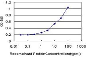 Detection limit for recombinant GST tagged PCNA is approximately 0. (PCNA 抗体  (AA 152-261))