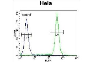 Flow Cytometry (FACS) image for anti-T-Box 6 (TBX6) antibody (ABIN2996310) (T-Box 6 抗体)