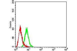 Flow Cytometry (FACS) image for anti-Killer Cell Immunoglobulin-Like Receptor, three Domains, Long Cytoplasmic Tail, 1 (KIR3DL1) (AA 206-340) antibody (ABIN5611325)