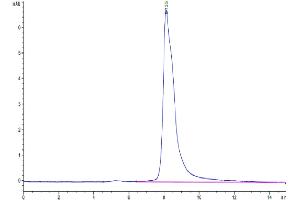 Size-exclusion chromatography-High Pressure Liquid Chromatography (SEC-HPLC) image for Interleukin 4 (IL4) (AA 25-153) protein (His tag) (ABIN7274948)