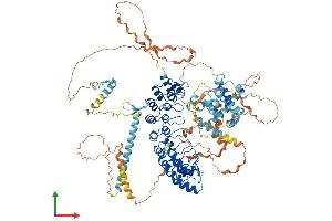AlphaFold protein structure predicition of Human Recombinant ESPNL Protein, UniprotID Q6ZVH7