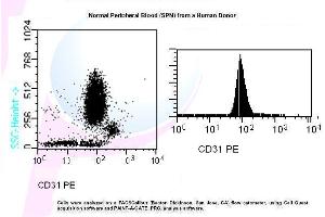 Image no. 1 for anti-Platelet/endothelial Cell Adhesion Molecule (PECAM1) antibody (PE) (ABIN1112114) (CD31 抗体  (PE))