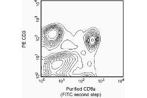 Stained with purified mAb OX-8 (CD8 alpha 抗体)
