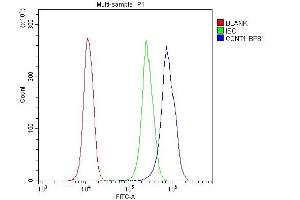 Flow Cytometry analysis of U937 cells using anti-Cyclin T1 antibody (ABIN4886509).