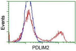 HEK293T cells transfected with either RC210022 overexpress plasmid (Red) or empty vector control plasmid (Blue) were immunostained by anti-PDLIM2 antibody (ABIN2454456), and then analyzed by flow cytometry. (PDLIM2 抗体)