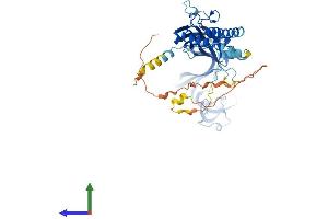 AlphaFold protein structure predicition of Human Recombinant P2RX2 Protein, UniprotID Q9UBL9
