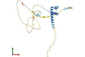 AlphaFold protein structure predicition of Human Recombinant NOTO Protein, UniprotID A8MTQ0 (NOTO Protein (AA 1-251) (His tag))