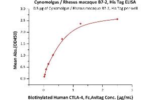 ELISA image for CD86 (CD86) (AA 19-240) protein (His tag) (ABIN2180853)