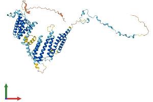 Protein Structure (PS) image for Signal Recognition Particle 68kDa (SRP68) (AA 1-625) protein (His tag) (ABIN7558757)