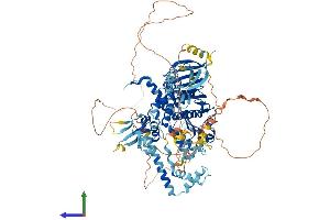 Protein Structure (PS) image for PMS1 Postmeiotic Segregation Increased 1 (S. Cerevisiae) (PMS1) (AA 1-932) protein (His tag) (ABIN7555030)