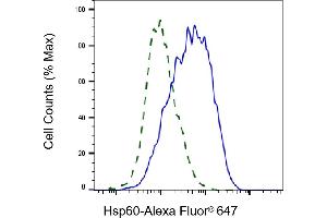 Validation of Hsp60 knockdown using flow cytometry.