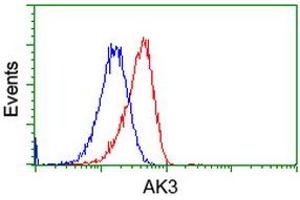 HEK293T cells transfected with either RC204408 overexpress plasmid (Red) or empty vector control plasmid (Blue) were immunostained by anti-AK3 antibody (ABIN2452715), and then analyzed by flow cytometry. (Adenylate Kinase 3 抗体)