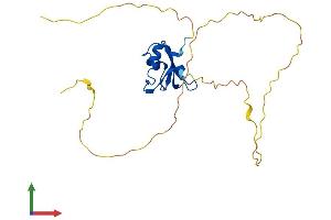 AlphaFold protein structure predicition of Human Recombinant RBM38 Protein, UniprotID Q9H0Z9