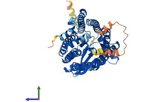 Protein Structure (PS) image for Zinc Metalloproteinase, Ste24 (Zmpste24) (AA 1-475) protein (His tag) (ABIN7547655)