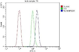 Flow Cytometry analysis of U937 cells using anti-FLCN antibody (ABIN7602491). (FLCN 抗体  (AA 8-551))