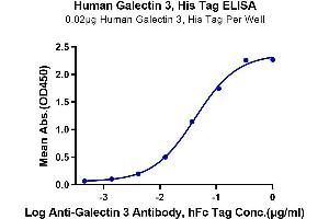 ELISA image for Galectin 3 (LGALS3) (AA 2-250) protein (His tag) (ABIN7274750)