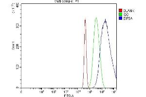 Flow Cytometry analysis of Neuro-2a cells using anti-EIF5A antibody (ABIN7599674). (EIF5A 抗体  (AA 107-154))