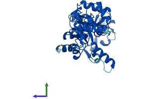 Protein Structure (PS) image for Glycerophosphodiester Phosphodiesterase Domain Containing 1 (GDPD1) (AA 1-314) protein (His tag) (ABIN7547958)